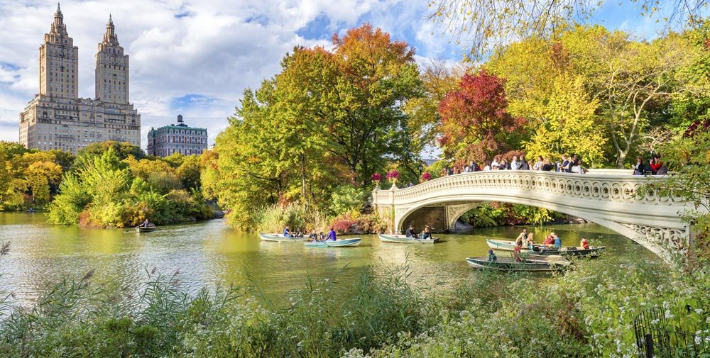 Excursión Contrastes de Nueva York: Central Park